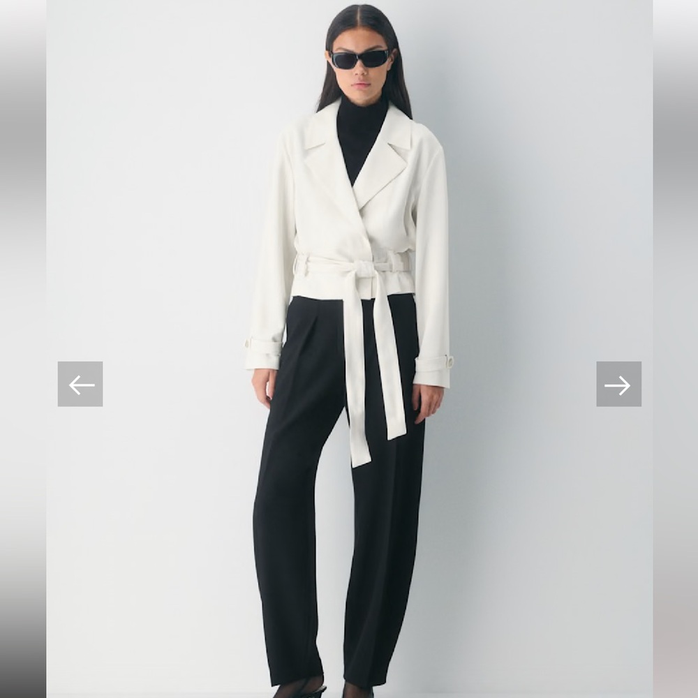 Aritzia Babaton Postage Trench Coat Light Birch